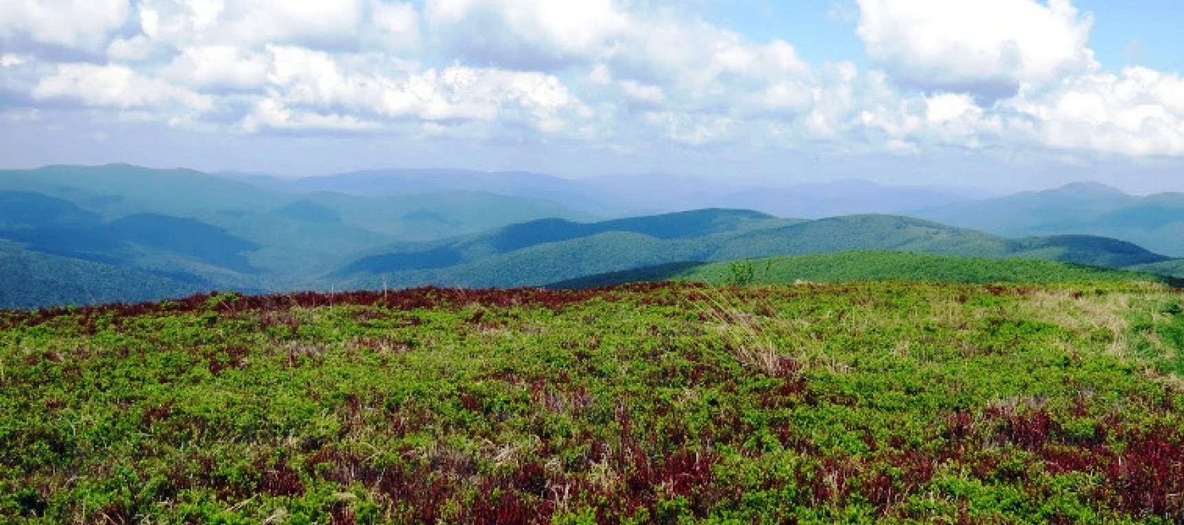 „Zakochaj się w Polsce” - Beskid Niski 11.07